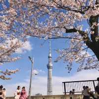 💫 Tokyo’s most Vibrant District: Asakusa! 🇯🇵