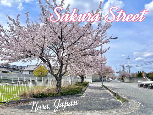 Saruka Street ในเมืองเทนริ จ.นารา