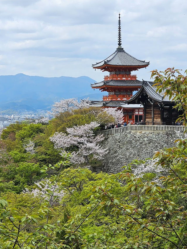 Koyasunoto Pagoda เจดีย์โคยาสุ จ.เกียวโต