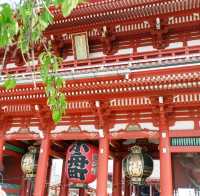 🌸วัด Sensoji (วัด Asakusa)🎍