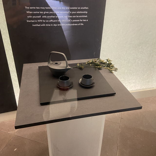 봄의 싱그러움을 느끼기 좋은 오설록 티 뮤지엄 🌿