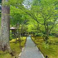 深田氏庭園：江戶時代傳統園林，春天好去處