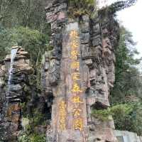 只能用壯麗來形容的「🌳張家界國家森林公園」🌳
