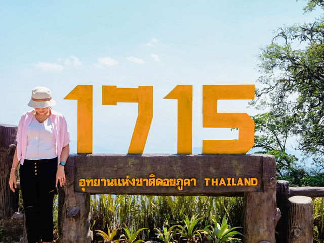 จุดชมวิว 1715 อุทยานแห่งชาติดอยภูคา จังหวัดน่าน