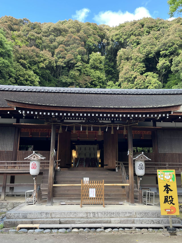 【京都府】世界文化遺産「宇治上神社」を参拝！