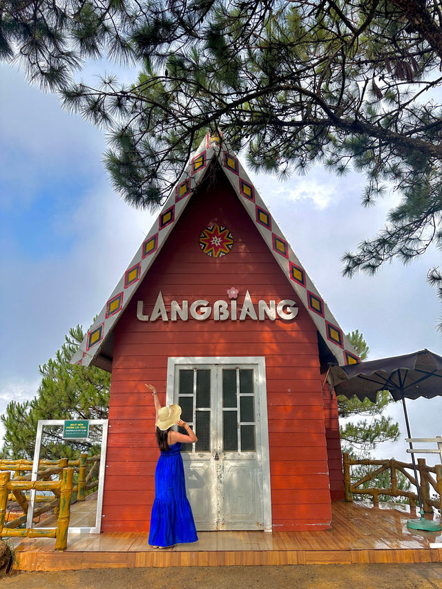 달랏에서 빼놓을 수 없는 인생샷명소 랑비앙산 ⛰️
