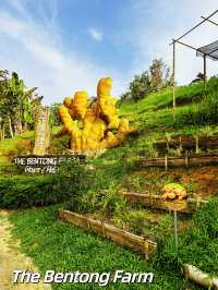 Fun Activities at The Bentong Farm 