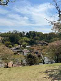 หนีแมวมาหากวางที่นารา NARA , JAPAN