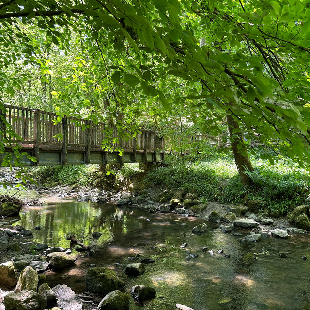 Loggerheads Country Park