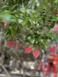 【福岡神社】日本一の大縄のある神社⛩光の道も有名なところです✨