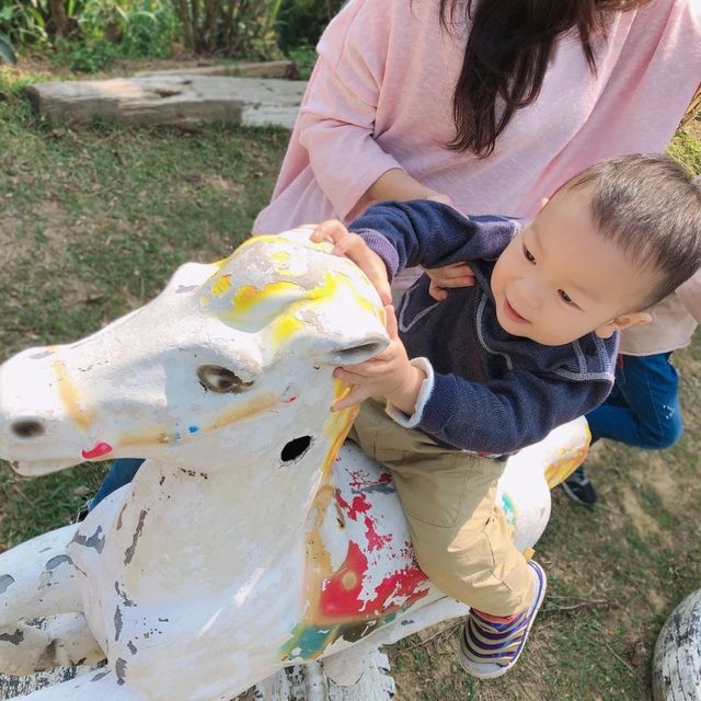 苗栗銅鑼 莫內的秘密花園 童趣鄉村