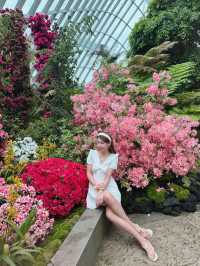 新加坡巨型溫室花園！400,000棵特色植物打卡！