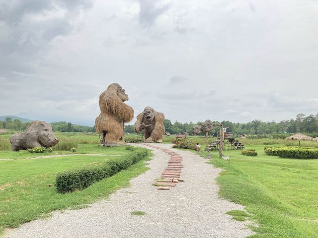 เที่ยว “ห้วยตึงเฒ่า” บรรยากาศฤดูฝน 