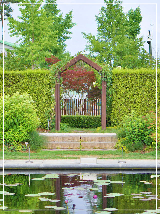 여름 수국 구경하기 좋은 전주수목원🌳