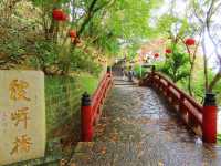 陸奧紫陽花園