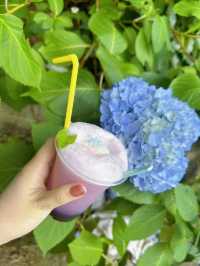 【奈良】花手水が可愛い岡寺🌷紫陽花シーズン