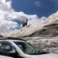 manali in June เจอหิมะในเดือนมิถุนายน