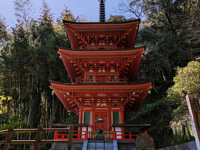 The Shōryūji Temple