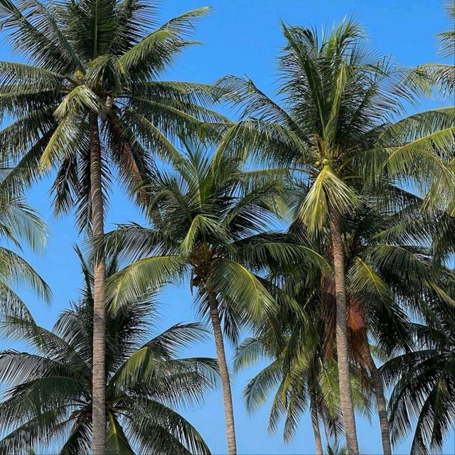 Bangsaen beach