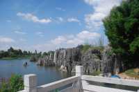 Stone Forest, The Wonder under the Heaven