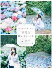 ここ知ってる？？【あじさい池が美しい🫧】日本最大級紫陽花映えスポット🫧
