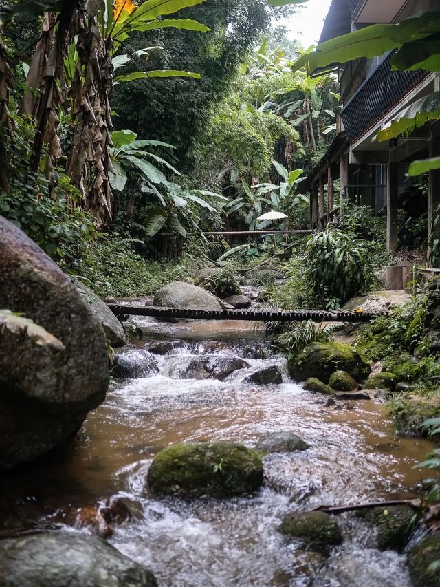 ใช้ชีวิตแบบสโลว์ไลฟ์ กับหมู่บ้านลับกลางหุบเขา 🌳