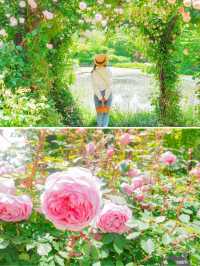 【長野・軽井沢】パスポートのいらないイギリスへ🇬🇧🫖🐻🌹