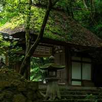 和光院：山水畫捲，展現日本園藝藝術