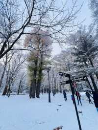 Hokkaido Jingu | Shinto shrine in Sapporo, Japan.