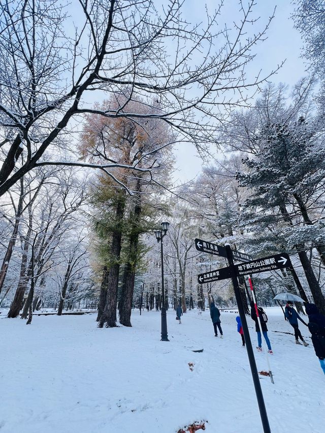 Hokkaido Jingu | Shinto shrine in Sapporo, Japan.