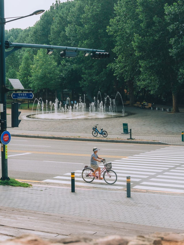 담양 관방제림