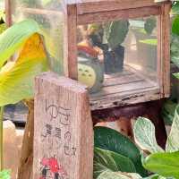🌿Baan Orpor