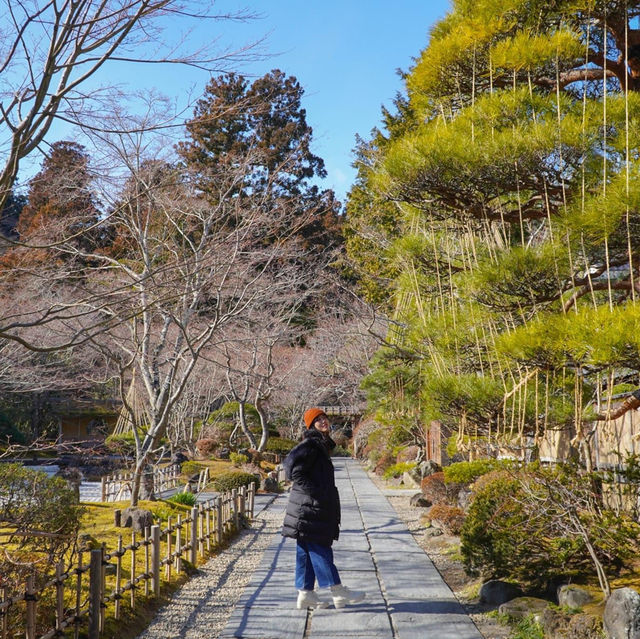 Sendai -   Hokkaido รอบเดียวเที่ยว 2 ภูมิภาค
