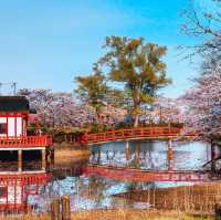 โตเกียวดิสนีย์แลนด์ที่ Chiba (千葉) 