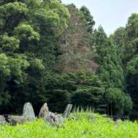 仲山神社🏯傳統宗教文化獨特魅力