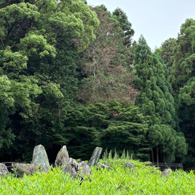 仲山神社🏯傳統宗教文化獨特魅力