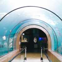 สถานแสดงพันธุ์สัตว์น้ำภูเก็ต