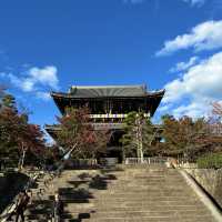 〜京都府〜穴場スポット！京都を一望新撰組ゆかりの地