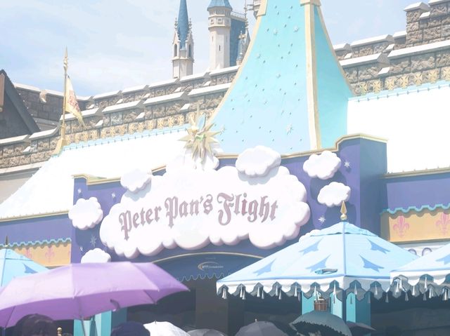 【千葉】やっぱり夏は東京ディズニーランドに行きたい！！
