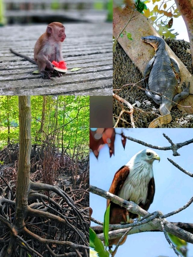 Kilim Geoforest Park, a haven for nature lovers! 