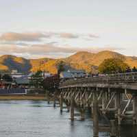 An early autumn trip to arashiyama bamboo forest