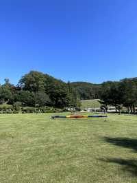 韓國人最喜愛首爾近郊🌳江陵風車景牧場和黑白牛🐄💞