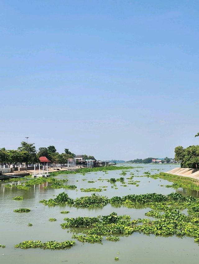 เกาะลอยน้ำอยุธยา "รักษ์บางปะอิน"