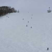 Niseko Japan ลานสกีที่โด่งดัง หิมะนุ่ม