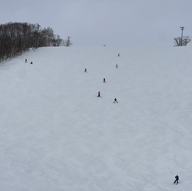 Niseko Japan ลานสกีที่โด่งดัง หิมะนุ่ม