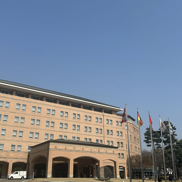 《韓国 / 江西区》 金浦空港からすぐ！ソウル5つ星ホテル MAFIELD HOTELでティータイム✨