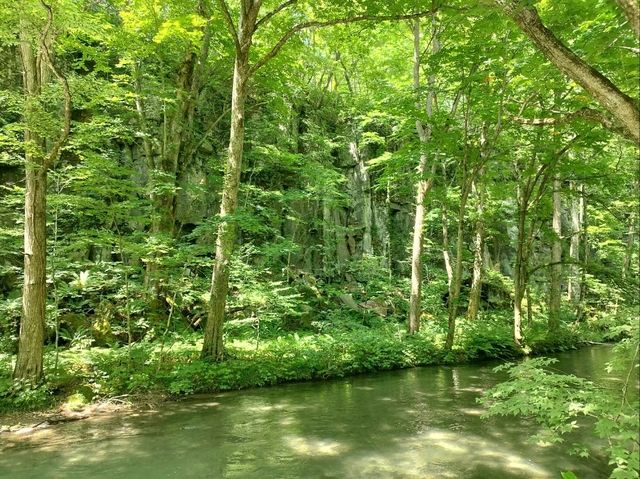 行ってみて！奥入瀬渓流遊歩道！