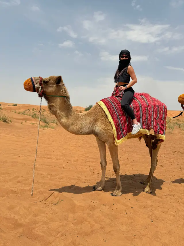 Dubai Desert Adventure: Exciting and Highly Recommended!