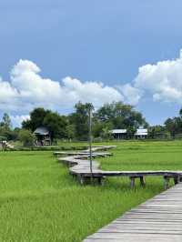 พิกัดลับใบเสมาโบราณ กลางทุ่งนา เต่างอย สกลนคร