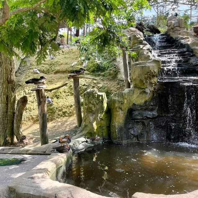 The Bentong Farm Malaysia